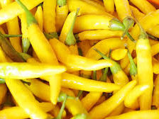 Yellow Peperoncino Pepper