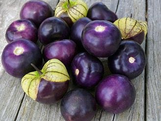 Hungarian Purple Veil Tomatillo